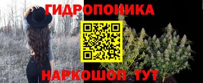шишки Коммунар