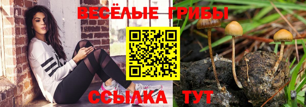 Галлюциногенные грибы Magic Shrooms  Псилоцибиновые грибы мицелий  Вход с VPN  Кропоткин 