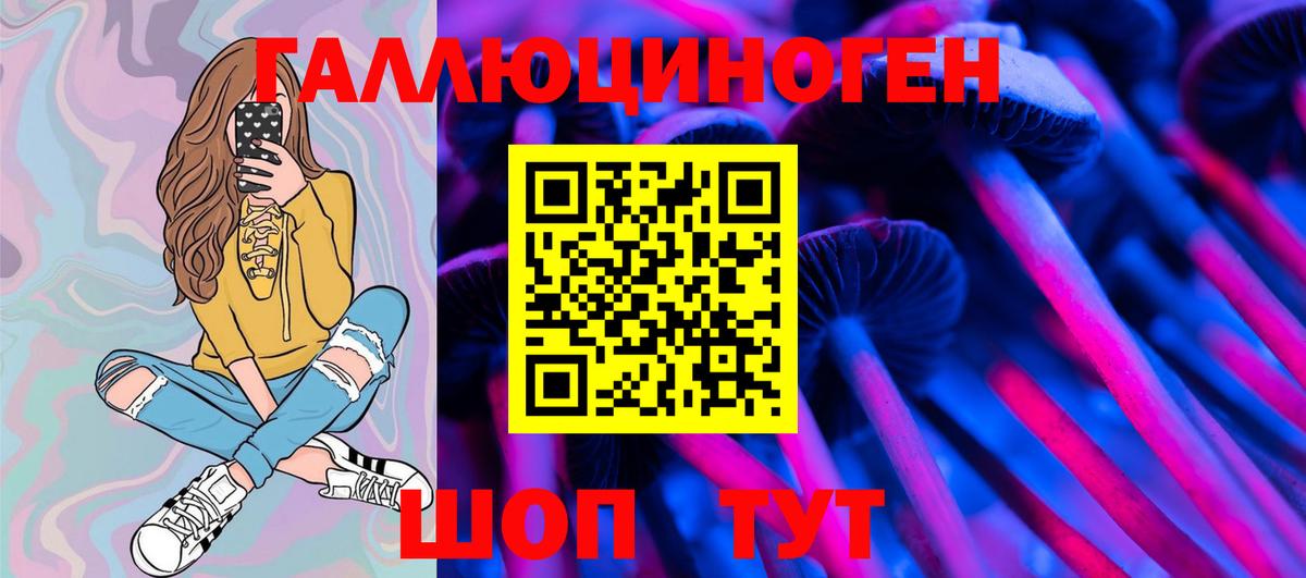 Codein Кропоткин