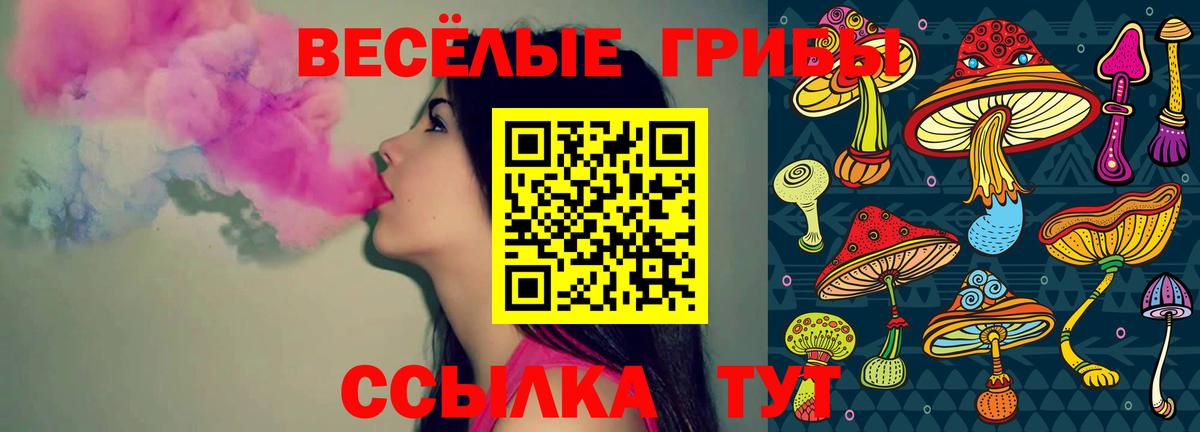 Псилоцибиновые грибы MAGIC MUSHROOMS Кропоткин